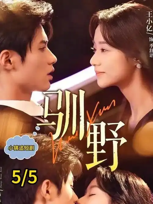 潮汐之下热播电视剧全集